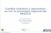Cambio climático y agricultura en Centroamérica: la estrategia regional del PRACCA