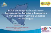 Plan de adaptación del sector agropecuario, forestal y pesquero a la variabilidad y cambio climático en Nicaragua