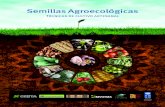 Semillas Agroecológicas. Técnicas de cultivo artesanal.