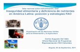 Inseguridad alimentaria y deficiencia nutrientes en América Latina y el Caribe: posición y estrategias de la FAO