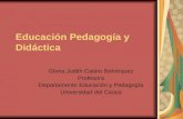 Educacion  Pedagogia  Didactica
