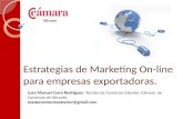 Estrategia De Mk Online Para Empresas Exportadoras