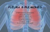 Pleura & Pulmones