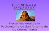 Pachamama-Camila Bodetto