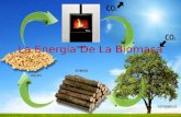 Energía de la biomasa.