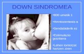 Down sindromea