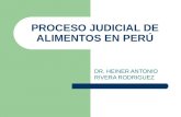 PROCESO JUDICIAL DE ALIMENTOS EN EL PERÚ