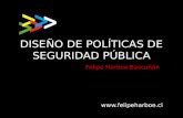 DISEÑO DE POLÍTICAS DE SEGURIDAD PÚBLICA