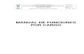 Manual De Funciones Por Cargo Ienss