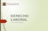 DERECHO LABORAL Y Art 123 CONSTITUCIONAL