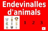 Modul5 Endevinalles Animals