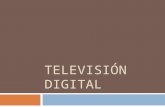 TelevisióN Digital