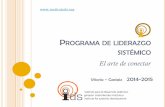 Programa de Liderazgo Sistemico 2014-2015. El arte de conectar.