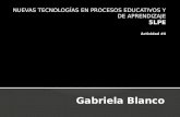 Gabriela blanco 5 lpe portales educativos