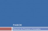 Resumen de conceptos - PMP