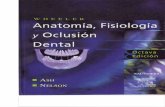 Anatomía, fisiología y oclusión dental.wheeler   copy