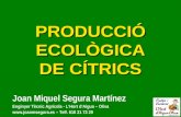 Producció Ecològica de Citrics