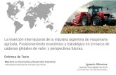 Presentación - Defensa de Tesis de Maestría: Internacionalización de la Industria de Maquinaria Agrícola Argentina