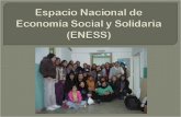 Plan de capacitación y fortalecimiento institucional del ENEES 2010
