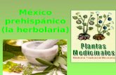 México prehispanico (herbolaria)