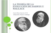 La TeoríA De La EvolucióN De Darwin Y