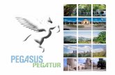DMC Pegasus Pegatur para viajes grupos incentivos eventos tours en España Praga Budapest Berlín y Munich