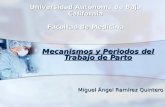 MECANISMOS,PERIODOS Y VIGILANCIA DEL TRABAJO DE PARTO