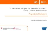 Reglament del Consell Municipal de Serveis Socials