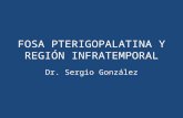 Topografica fosa pterigopalatina y fosa infratemporal