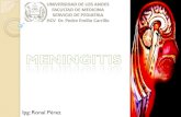 Meningitis P1
