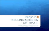 (2012-01-19) Insulinoterapia (PPT)