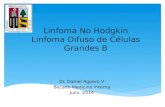 Linfoma No Hodgkin Células Grande B