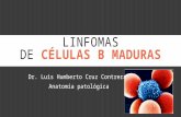 Linfomas células b maduras