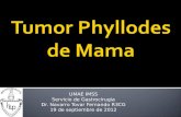 Tumor phyllodes