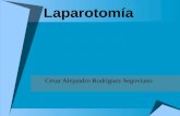 Laparotomía y laparoscopia