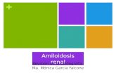 Amiloidosis Renal: revisión bibliográfica.