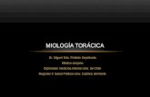 Miología torácica