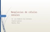 Neoplasias renales pat cc