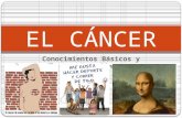 El cáncer conceptos basicos y prevencion