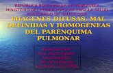 Radiología Pulmonar: Lesiones Consolidativas del Parénquima.