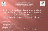 Antibioticos que actuan contra los ribosmas subunidad 30S y 50 S