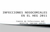 2.5.2 dr freddy trujillo infecciones nosocomiales en el heg