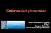 Glomerulonefritis us