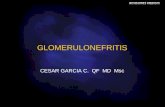 Glomerulonefritis actual
