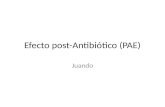 Efecto post antibiotico (pae)
