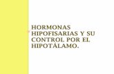 Hormonas hipofisarias y su control por el hipotálamo
