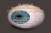 El ojo iii