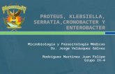 Proteus, Klebsiella, Serratia, Cronobacter, Enterobarcter