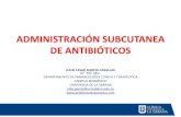 Antibioticos subcutaneos en cuidado paliativo