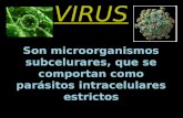 Clase de micro virus